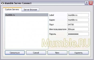 Вкладка Custom Servers